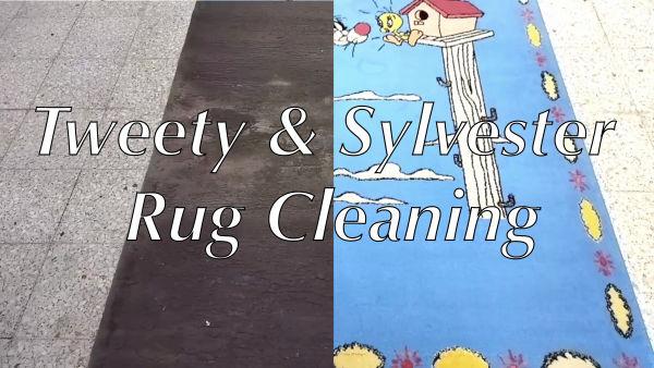 In this video we watch as a really dirty rug is cleaned to reveal Sylvester the Cat riding stilts to get to Tweety's Birdhouse!