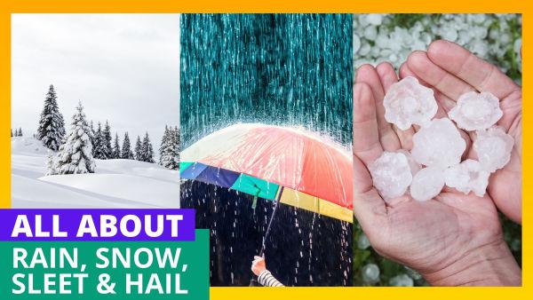 Learn how rain, snow, sleet, and hail form and bring all kinds of weather to life!