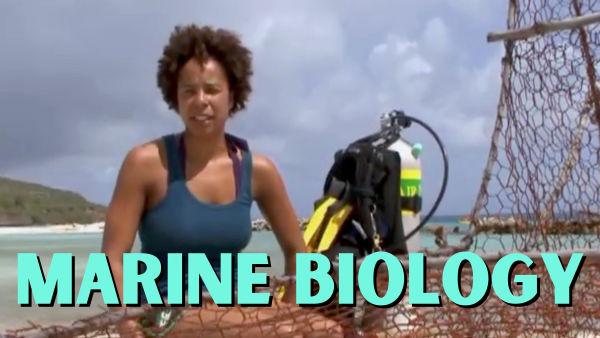 Let's take a look at what a marine biologist does in their field of work!