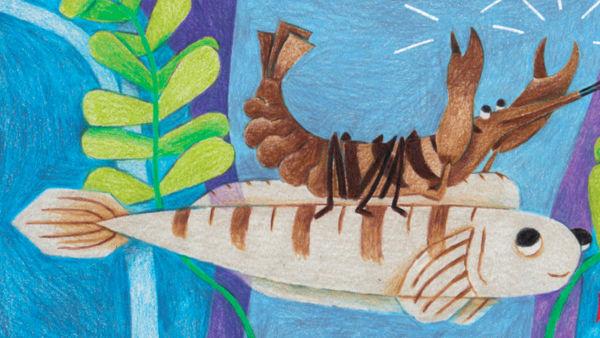 Read a story about unlikely animal friends!