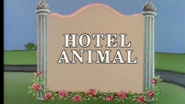 Read and discuss Hotel Animal with Reading Rainbow!