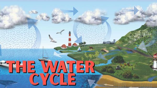 Let's take a look at what the water cycle is!