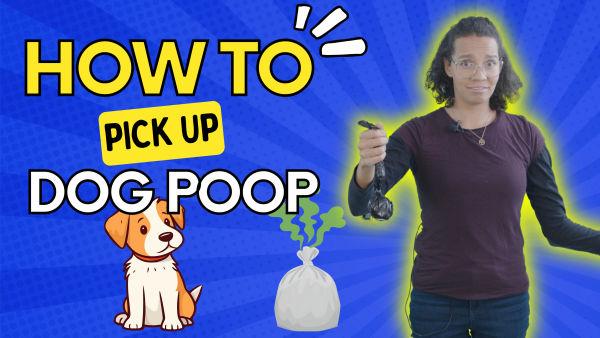 Are you ready to learn how to pick up dog poop?