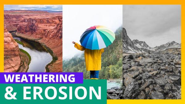 Let's Learn About the Science of Nature!