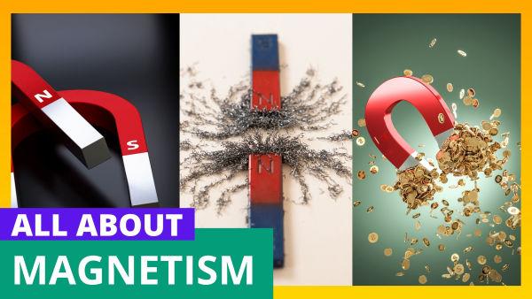 Let's Learn About the Magnets!