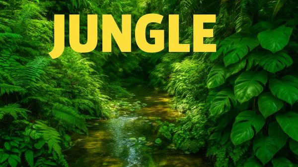 Let's learn about the jungle with Eyewitness!