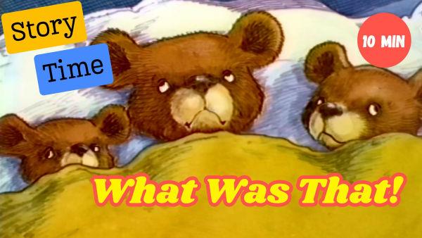 "What Was That!" is a story about a curious adventure to uncover mysterious sounds.