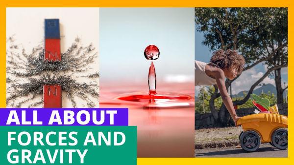 Let's Learn About Forces and Gravity!
