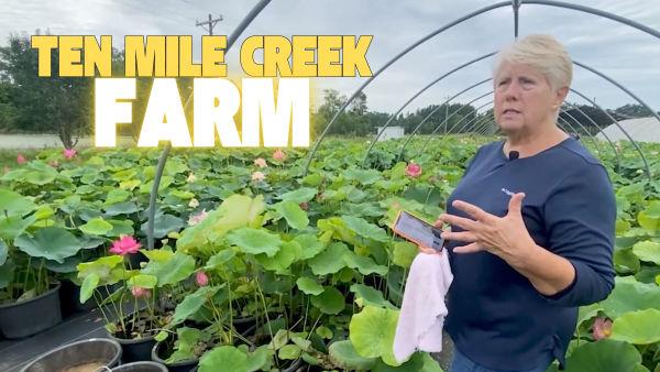 Let's take a tour of a real life farm in Alabama! 