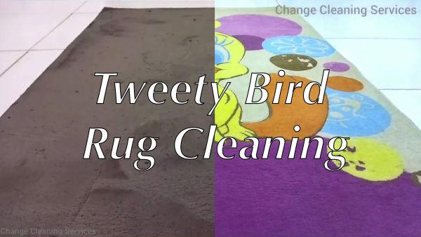 In this video we watch as a really dirty rug is cleaned to reveal a fun, bright purple rug with Tweety Bird from the Looney Tunes!