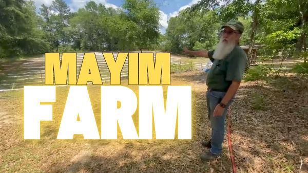 Let's Take a Tour of a Real Life Farm! 