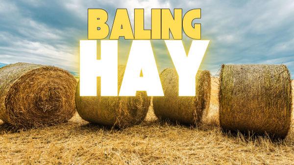 In Mighty Machines: Baling the Hay, mighty tractors and balers work together to harvest golden fields. Watch as they cut, gather, and roll giant bales of hay, getting them ready for the farm!
